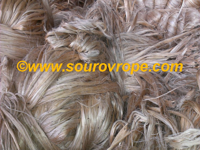 Raw Jute Fibre